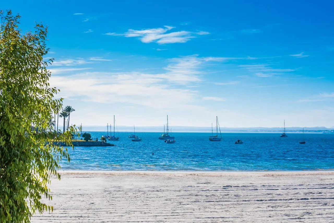 Ideal Property Mallorca - Tarongina Port de Alcudia  Spain